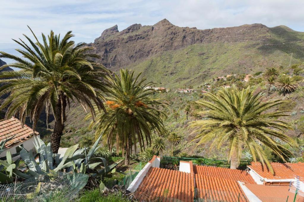 Traditional Canary Cottage In ماسكا المظهر الخارجي الصورة